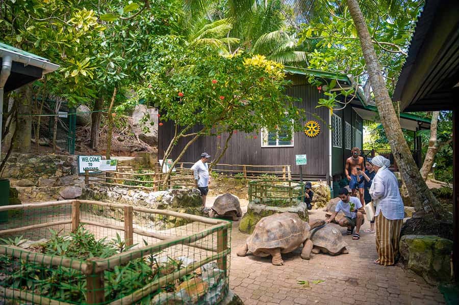 Mahé: Saint-Anne Marine Park and Moyenne Island Cruise - The first snorkeling stop near Saint-Anne