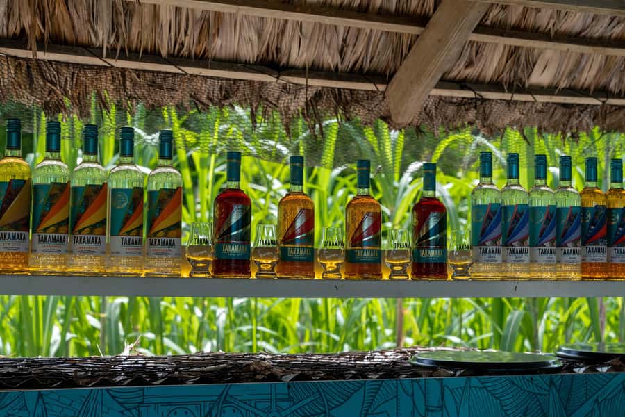 Mahé: Wild South Discovery Trip with Local Lunch - How the seven hours are divided