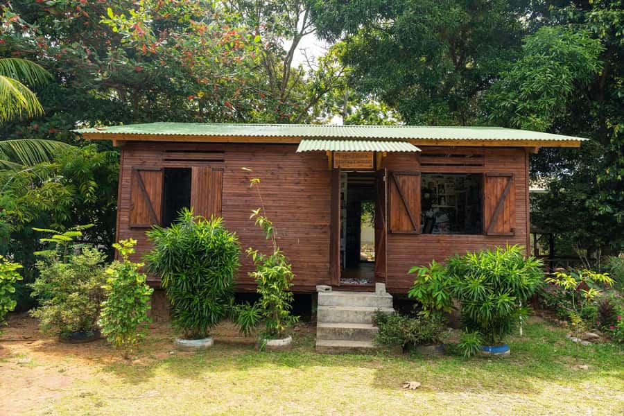 Mahé: Wild South Discovery Trip with Local Lunch - What the $138 price really covers