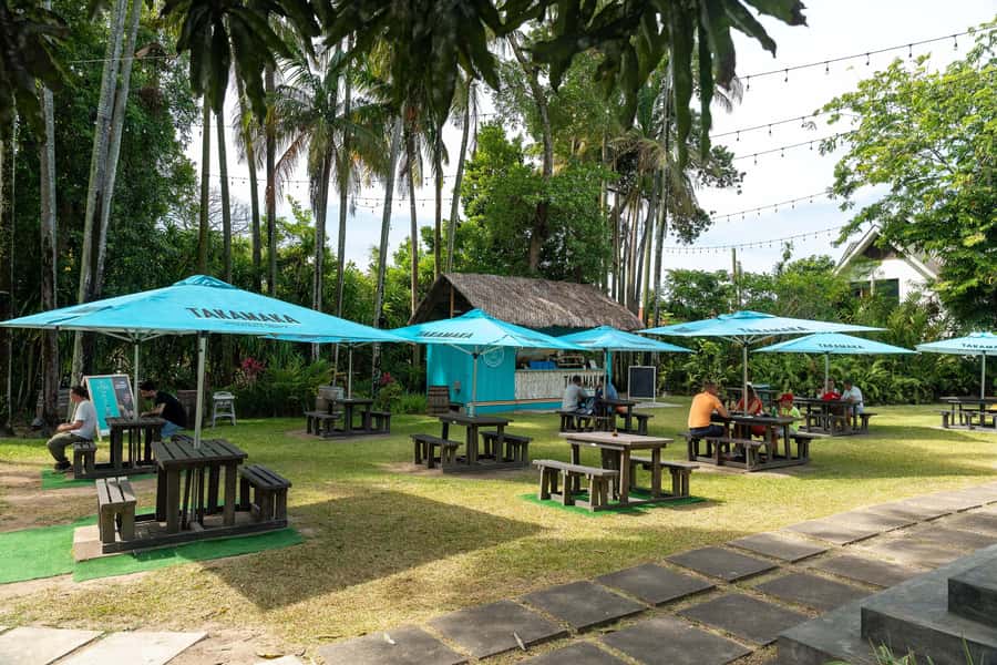 Mahé: Wild South Discovery Trip with Local Lunch - Who will get the most from this tour?