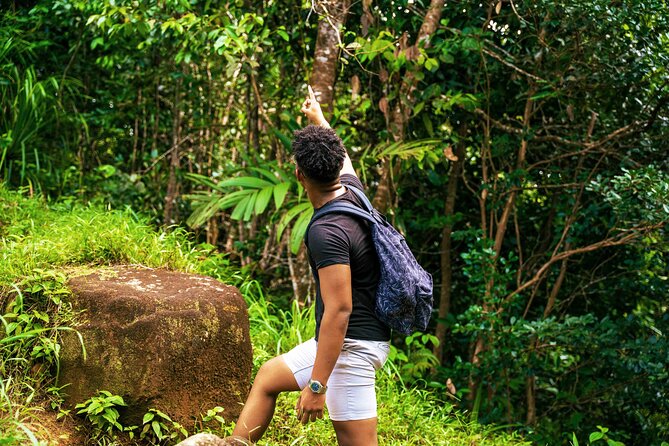 Nature trail - Morne Blanc (Mahe) - The viewing platform and the big payoff