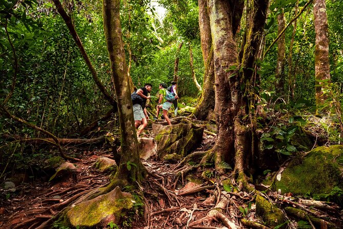 Nature trail - Morne Blanc (Mahe) - What the private setup adds