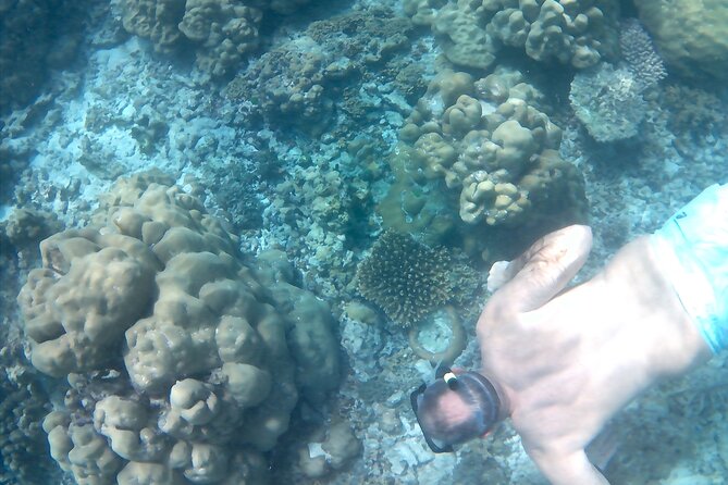 Praslin Curieuse, St Pierre &AnseLafarine fullday trip CreoleBBQ - St Pierre Island and its clear snorkeling water