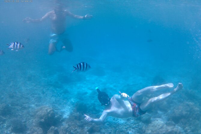 Praslin Curieuse, St Pierre &AnseLafarine fullday trip CreoleBBQ - Creole BBQ at 12:30pm