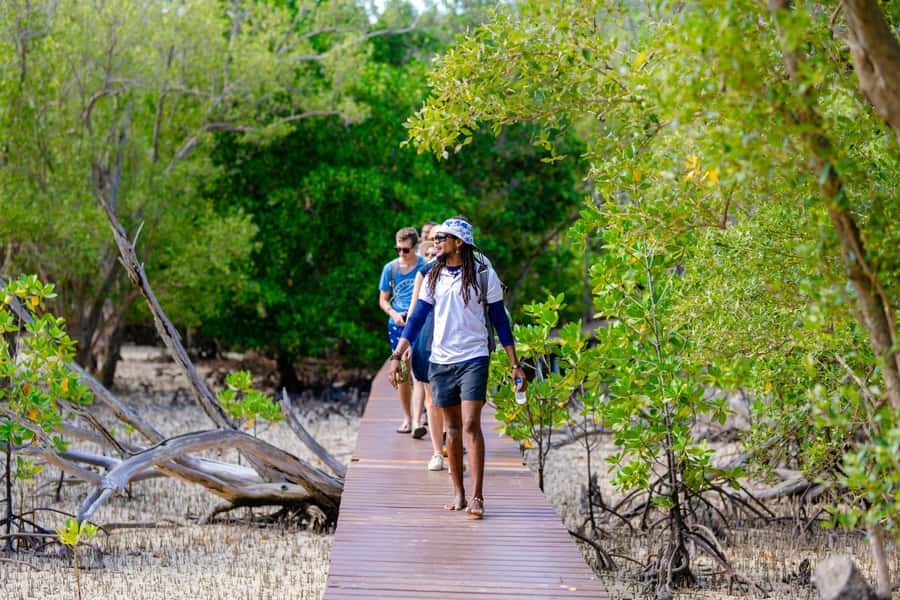 Praslin: Curieuse & St. Pierre Full-Day Boat Trip with Lunch - What to pack for seven hours on the water
