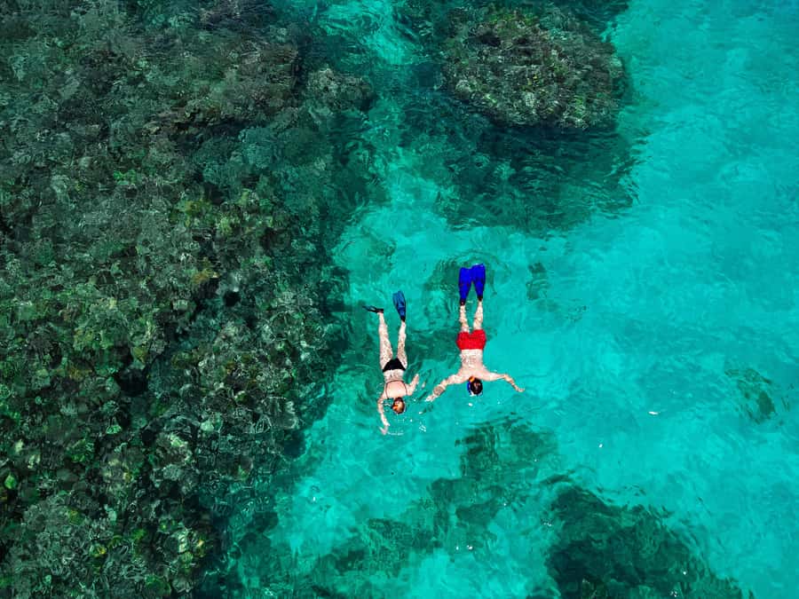 Praslin: Curieuse & St. Pierre Full-Day Boat Trip with Lunch - A swim at Anse Georgette