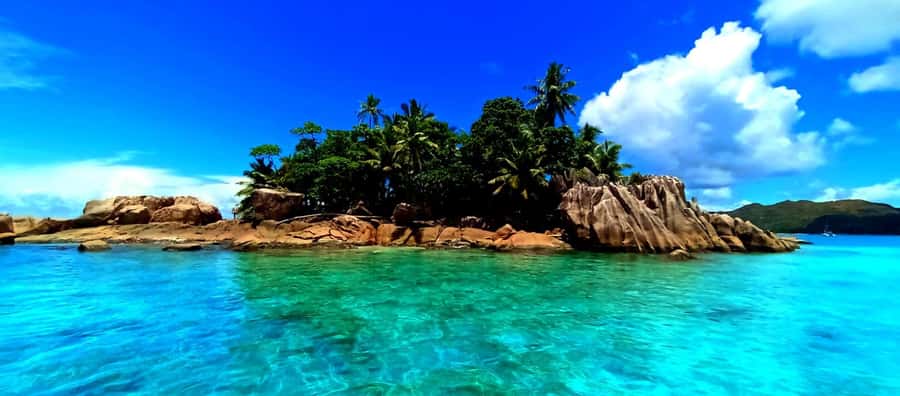 Praslin: Curieuse & St Pierre Island Day Trip with Barbecue - The mangrove trail takes real walking