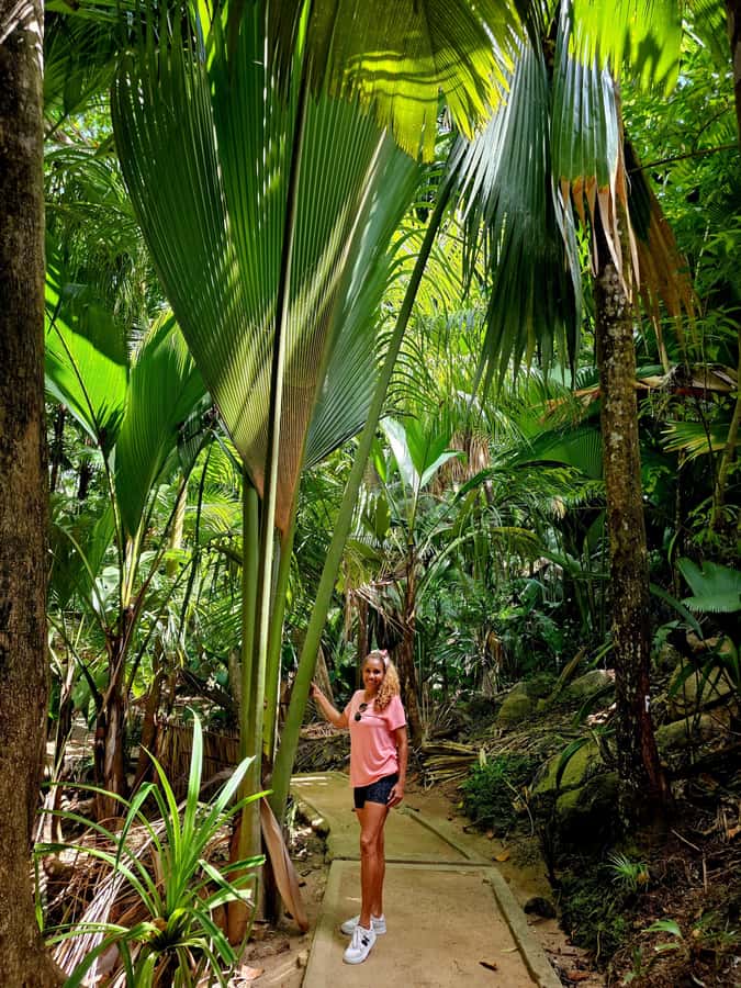 Praslin: Full Day Private Tour - Who will enjoy this Praslin day most