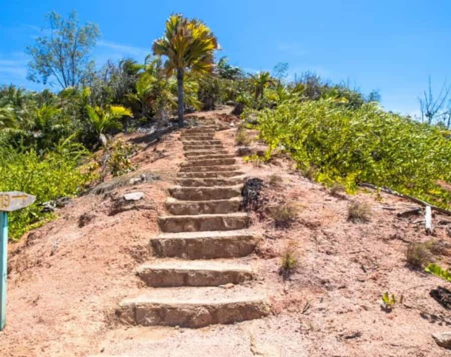 Praslin : Private tour - Vallée de Mai: the island’s signature forest