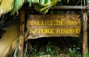 Praslin : Private tour - Anse Georgette and the lunch question