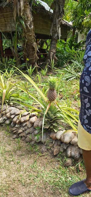 Praslin:Private Tour ValleDeMai,CoteD'orMuseum & AnseLazio - The Praslin Museum and a short cultural stop