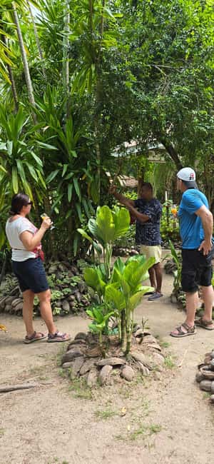 Praslin:Private Tour ValleDeMai,CoteD'orMuseum & AnseLazio - Côte d’Or Beach and the road to Anse Lazio