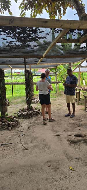 Praslin:Private Tour ValleDeMai,CoteD'orMuseum & AnseLazio - Four hours at Anse Lazio