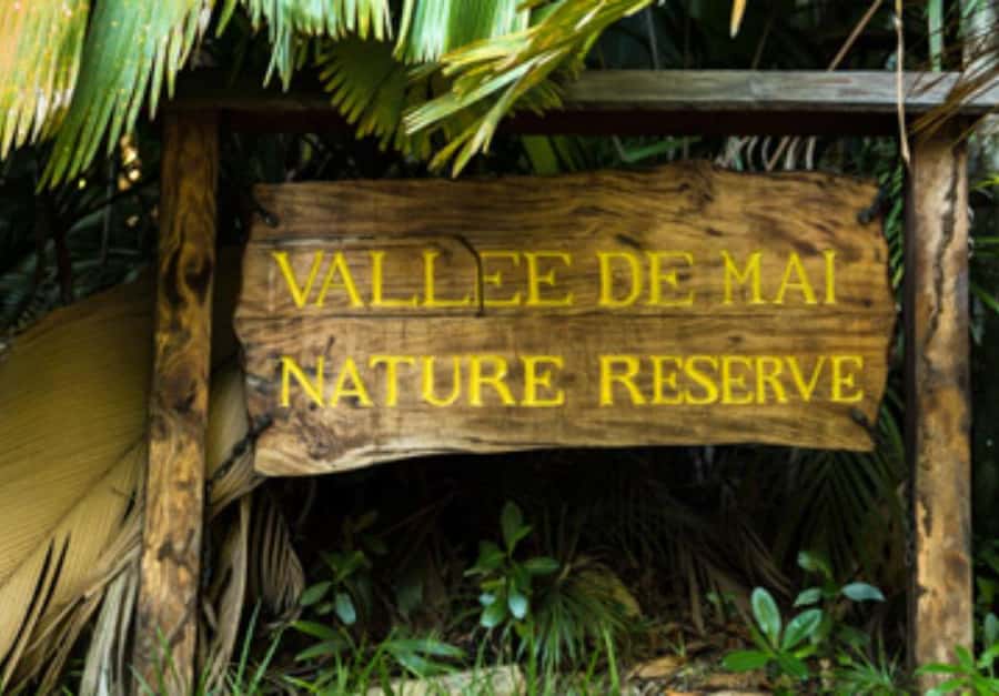 Praslin : Private tour - Choosing between Vallée de Mai and Fond Ferdinand