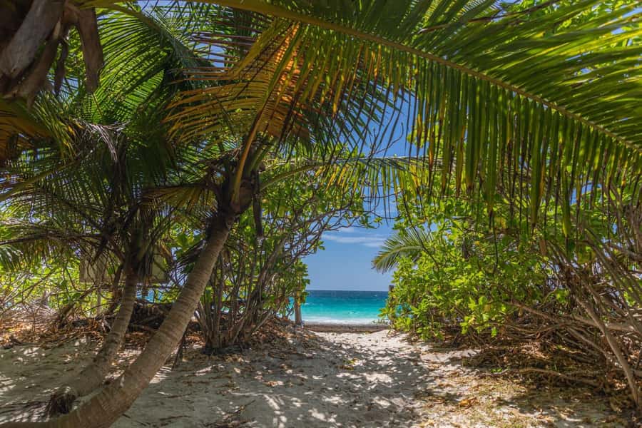 Praslin: Sister & Coco Island Full-Day Cruise and Creole BBQ - Key points before you book