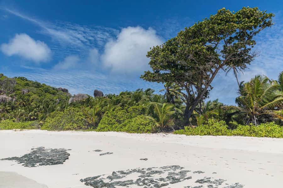 Praslin: Sister & Coco Island Full-Day Cruise and Creole BBQ - What the $130 price really covers