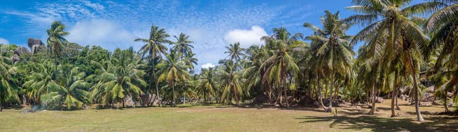 Praslin: Sister & Coco Island Full-Day Cruise and Creole BBQ - My call: book it for the water, not the schedule