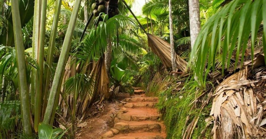 Praslin : Tour (Shared) - Zimbabwe viewpoint: a worthwhile final stop