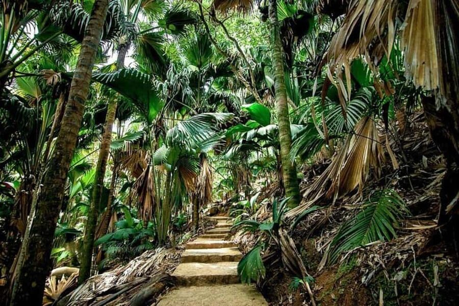 Praslin : Tour (Shared) - What the guiding service is really like