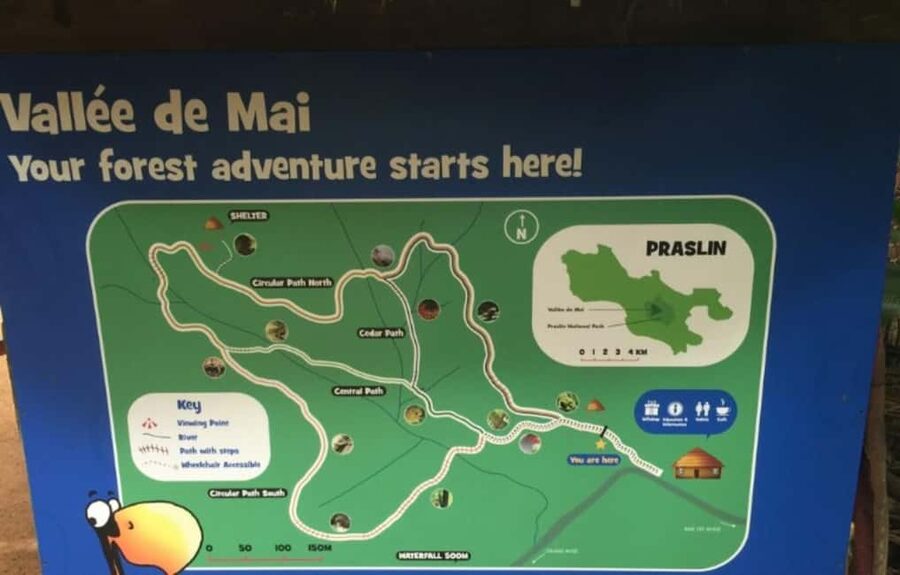 Praslin : Tour (Shared) - Vallée de Mai: the day’s best nature walk
