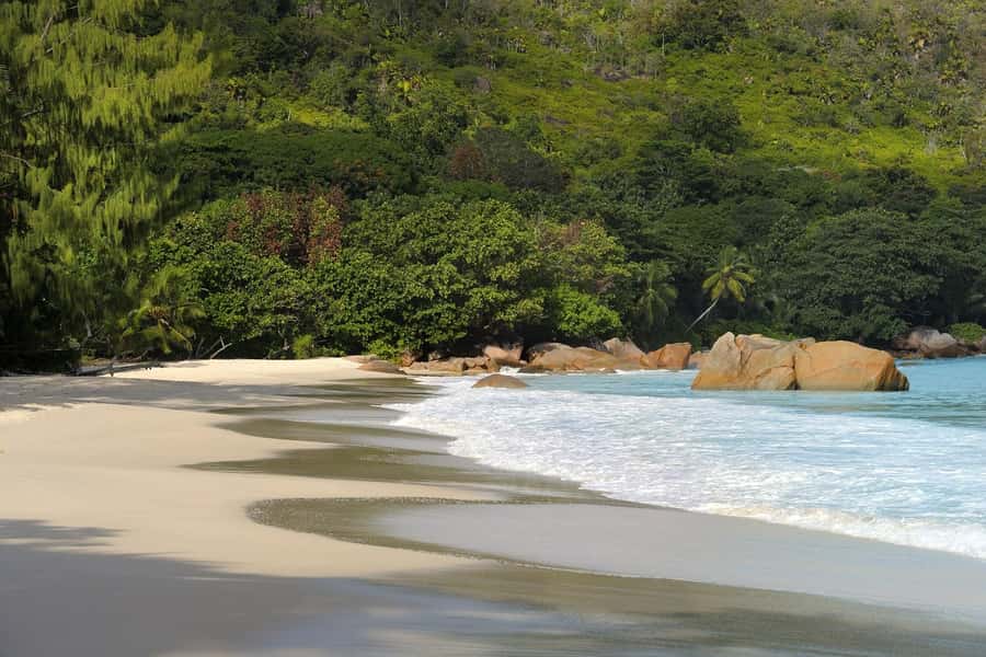 Praslin: Vallée de Mai and Anse Lazio Beach Full-day Tour - The drive through Praslin and its village life