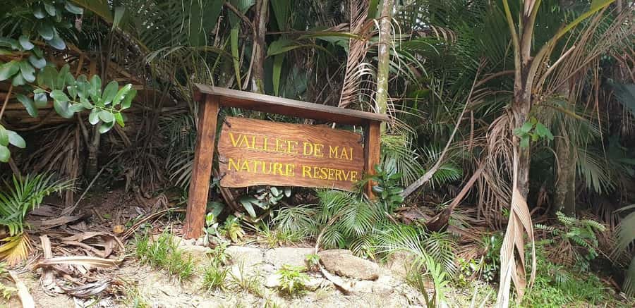 Praslin: Vallée de Mai and Anse Lazio Beach Full-day Tour - Anse Lazio, with enough time to slow down