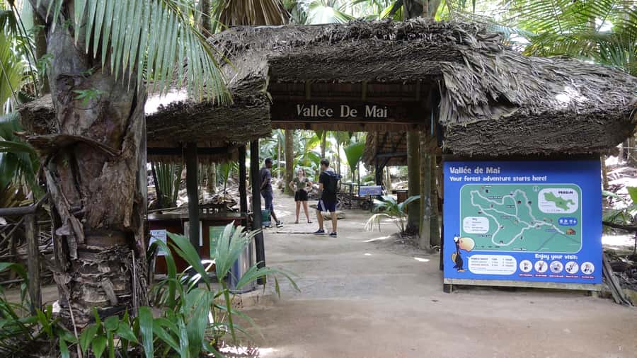 Praslin: Vallée de Mai and Anse Lazio Beach Full-day Tour - Entering Vallée de Mai, Praslin’s ancient palm forest