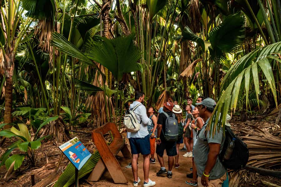 Praslin: Vallee de Mai Guided Hike with Transfer - Key points about the Vallée de Mai walk