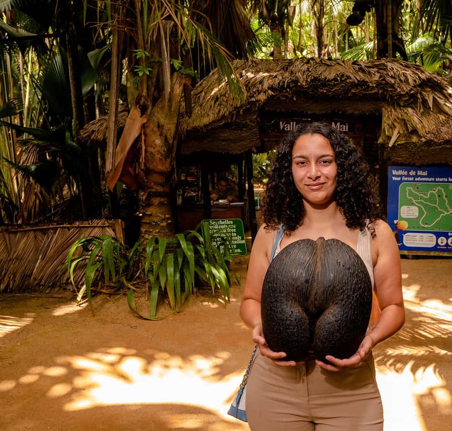 Praslin: Vallee de Mai Guided Hike with Transfer - Entering Praslin’s legendary palm valley