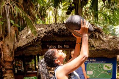 Vallee de Mai Guided Hike with Transfer