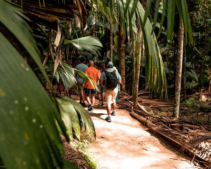 Praslin: Vallee de Mai Guided Hike with Transfer - A few practical cautions before booking