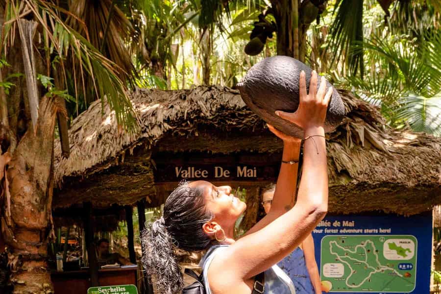 Praslin: Vallee de Mai Guided Hike with Transfer - The Coco de Mer and its unusual story