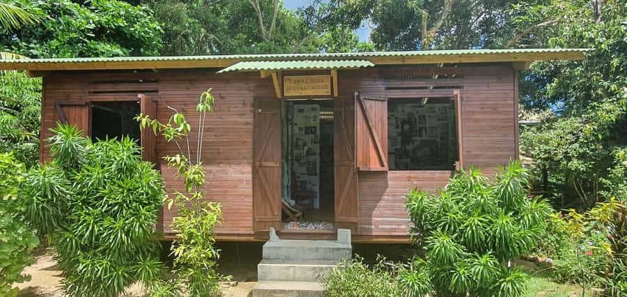 Private Customized Tour: Explore Mahe beyond the ordinary - Coco de Mer and giant tortoises at the Botanical Garden
