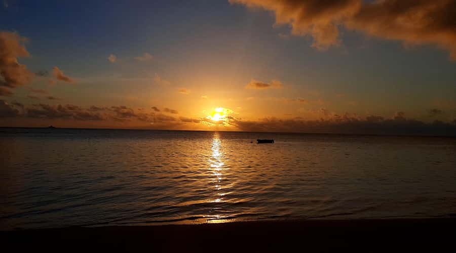 Private Customized Tour: Explore Mahe beyond the ordinary - Spices, ice cream, and island agriculture at Le Jardin du Roi