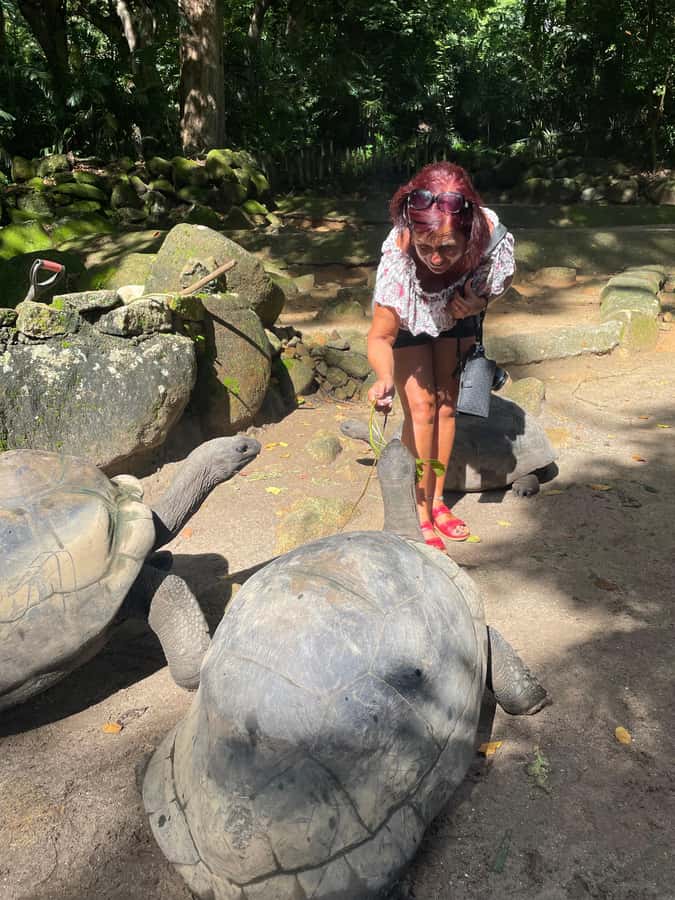 Private Customized Tour: Explore Mahe beyond the ordinary - Christopher’s guiding style and the driving