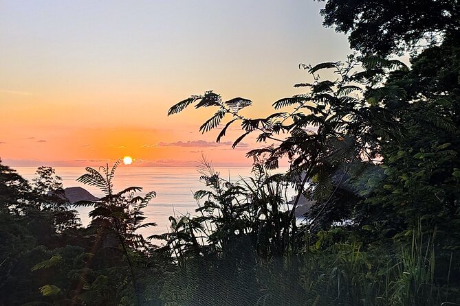 Private Day Tour in Seychelles - Key points at a glance