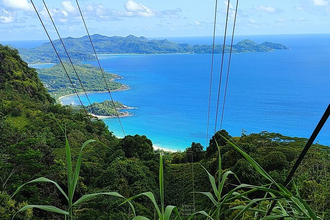 Private Day Tour in Seychelles - Anse Takamaka and the promise of turtles