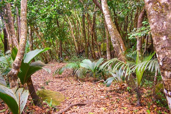 Private Full day Mahé island tour (1-2 persons) - Beaches, swimming, and snorkeling around Mahé