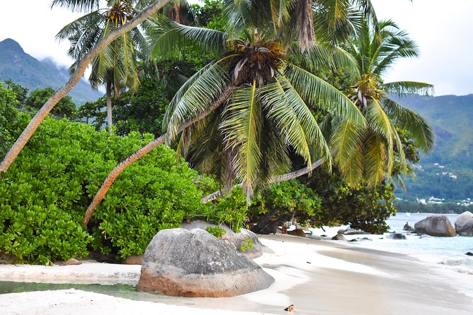 Private Half Day Mahe Island Tour (1-5 persons) - Why a private group can be worth the price