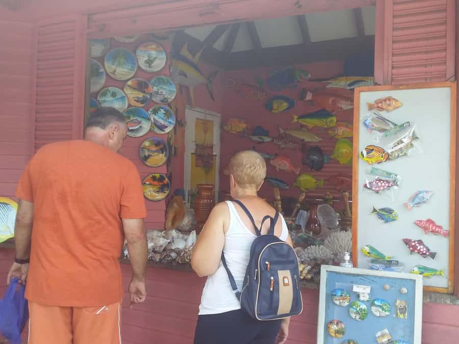 Private half day tour with free rum tasting - A five-hour introduction to Mahé