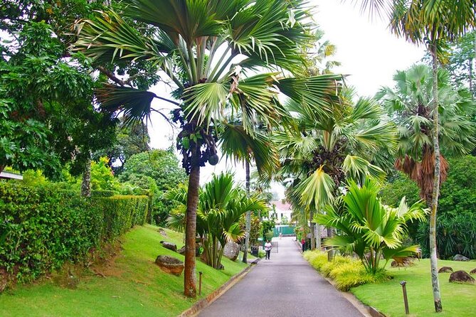 Private Mahe Island Full day Tour with Pickup - Takamaka Rum Distillery: the most structured cultural stop