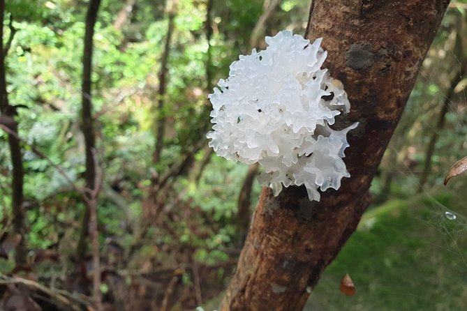 Private Nature Tours & Trail 1 to 5 persons - Key points to know before booking
