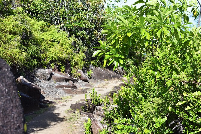 Private Nature Trail (Hiking) (1-2 persons) - Price, timing, and what you really pay for