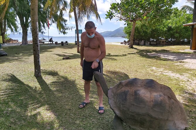 Private Seychelles Islands Tour by Boat with snacks & drinks - Curieuse Island: tortoises, beaches, and a proper walk