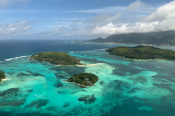 Reef Safari - Snorkeling, Fish Feeding & Lunch (Private Day Trip) - Key points to know before booking