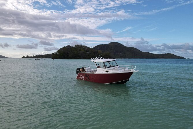 Reef Safari - Snorkeling, Fish Feeding & Lunch (Private Day Trip) - From your Mahé hotel to Victoria’s harbor