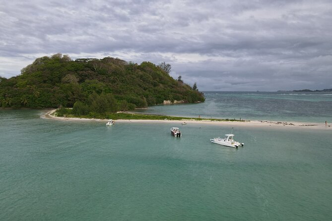 Reef Safari - Snorkeling, Fish Feeding & Lunch (Private Day Trip) - A private lunch with fresh seafood
