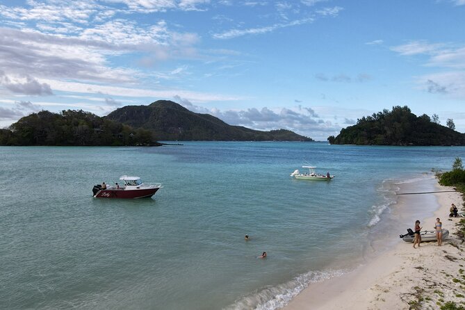 Reef Safari - Snorkeling, Fish Feeding & Lunch (Private Day Trip) - Swimming near Round Island before returning