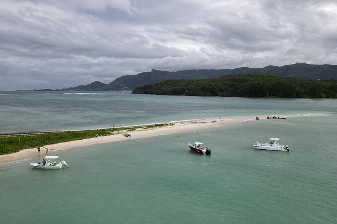 Reef Safari - Snorkeling, Fish Feeding & Lunch (Private Day Trip) - What the private format is worth at $920.61