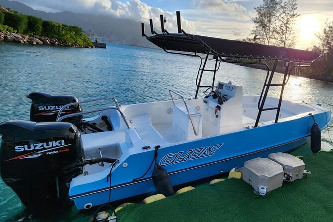 Reef Safari - Snorkeling, Fish Feeding & Lunch (Private Day Trip) - Who will enjoy this Mahé excursion most